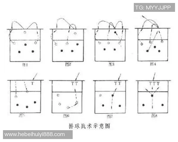 北京排球队在奥运会上的战术表现分析与点评探讨 北京排球队在奥运会上的战术表现分析与点评探讨