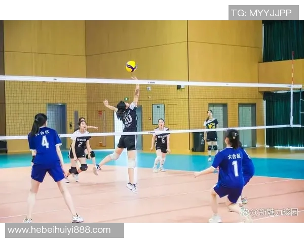 南京排球队的训练与比赛状态全景揭秘,助力排球梦想的崛起与发展 南京排球队的训练与比赛状态全景揭秘,助力排球梦想的崛起与发展