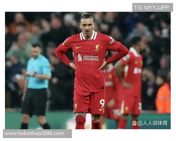 努涅斯在赛场上的崛起与挑战解析他如何成为足球界的新星