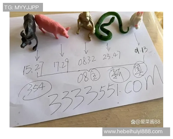 雷蒙的冒险旅程：探索未知世界的勇气与智慧