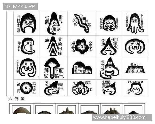 山形大山与金泽塞的精彩对决前瞻与赛果预测分析